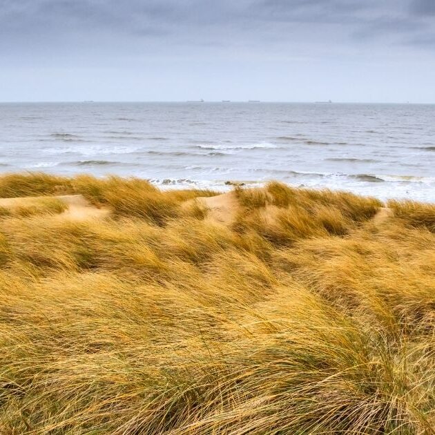 Duinen Zuid-Holland Natura2000